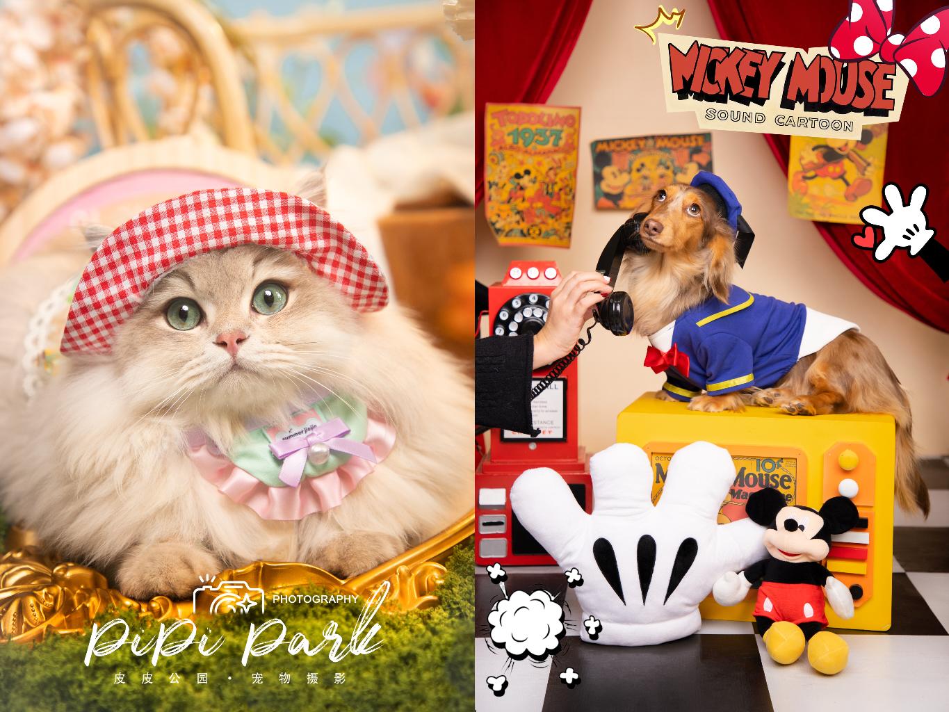 你就宠他吧谐音,你就宠他吧在线阅读