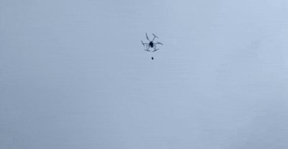 筑牢森林消防安全防火墙,筑牢森林防火安全防线