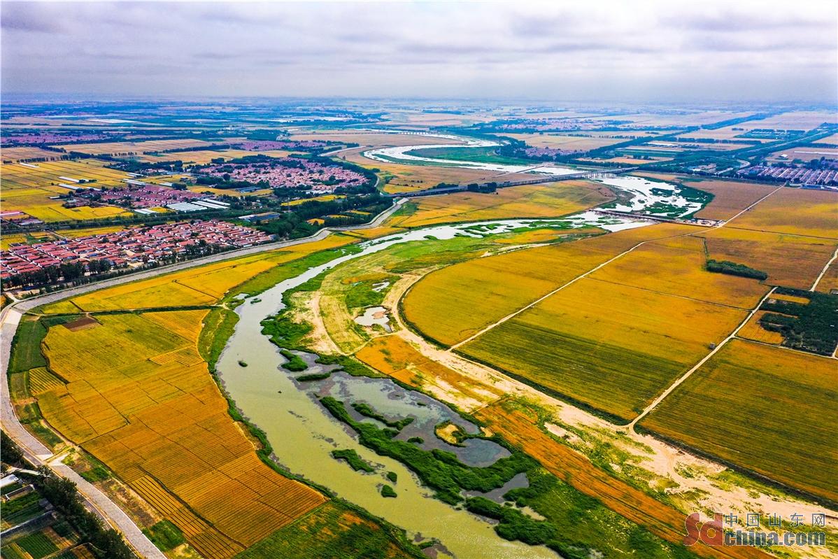 感知山东,山东潍坊的厉害之处