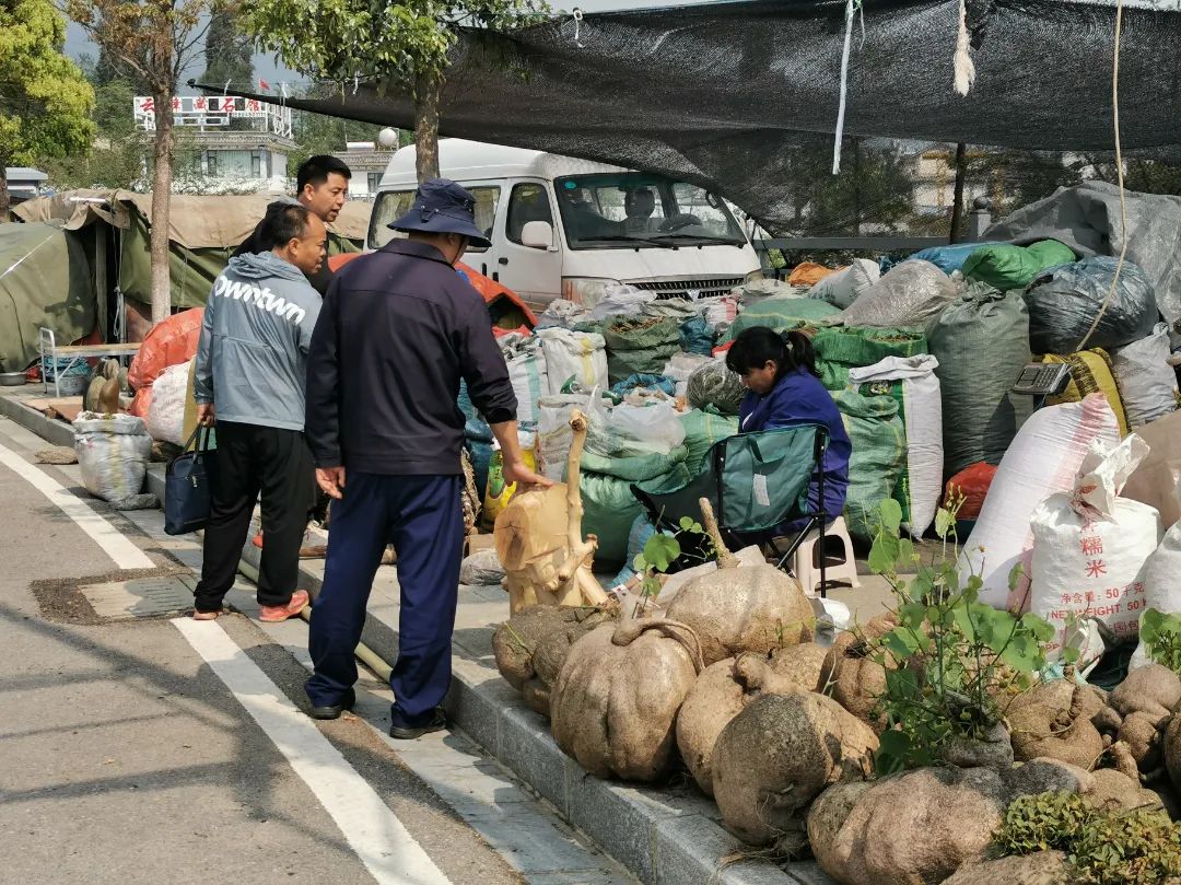 大理三月街药材,大理三月街药材市场