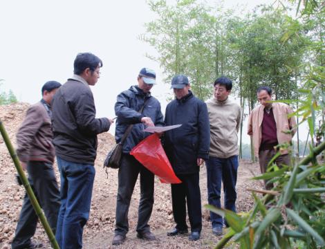 怀念文明城市,怀念中华优秀文化