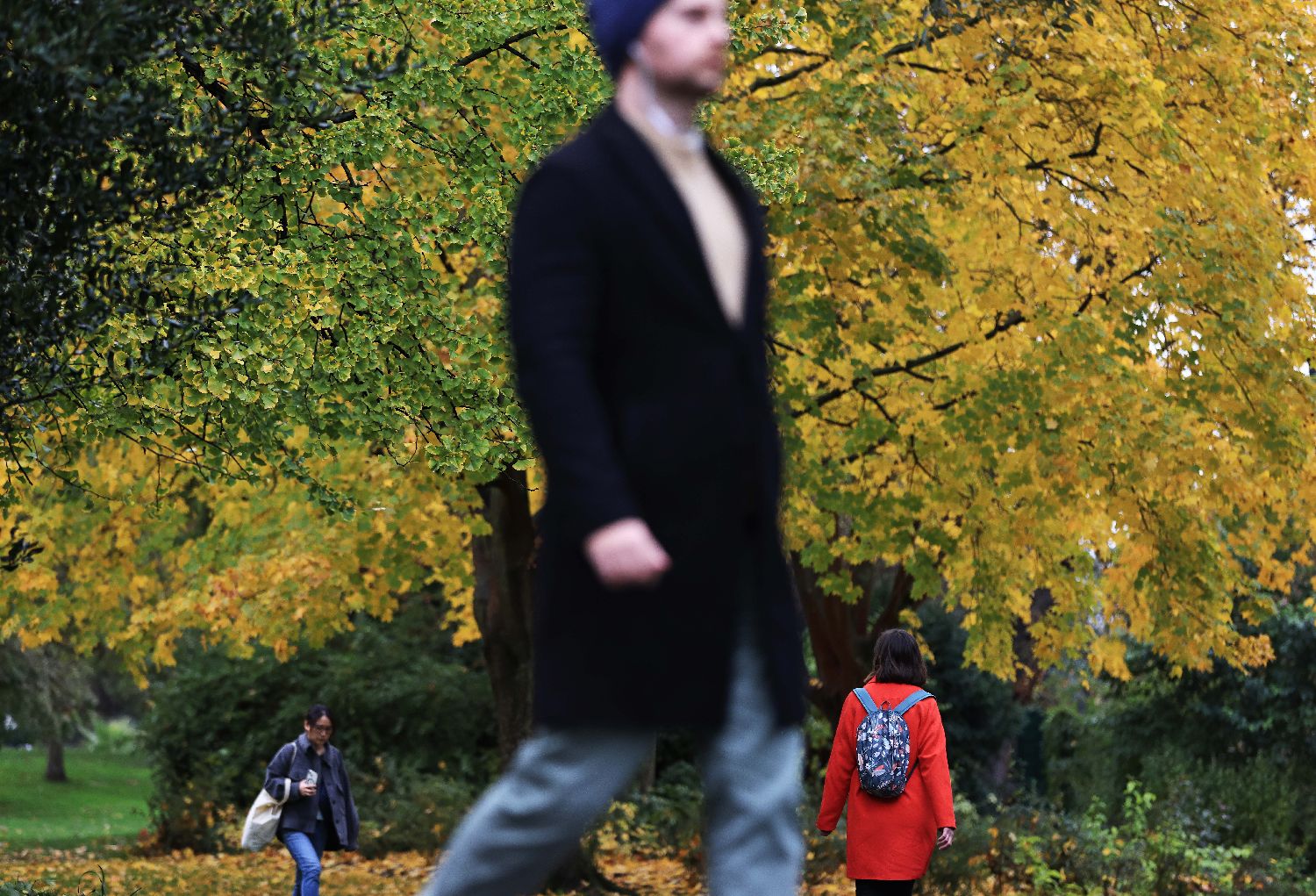 法国巴黎春天般的草木气息,法国巴黎绝美的景色