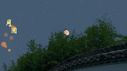 东部战区mv月满海峡完整版,东部战区中秋节